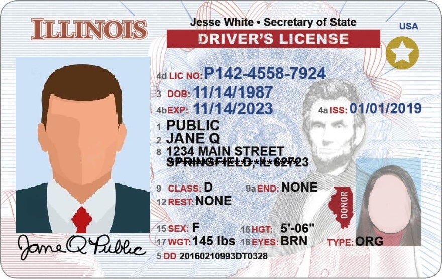 Illinois driver license