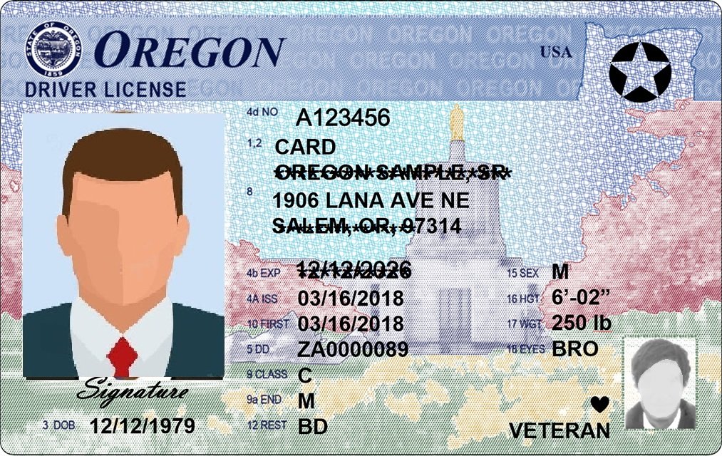 oregon drivers license