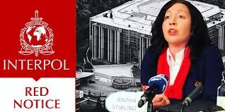 Understanding the Role of Interpol Defense Lawyers 1337794707